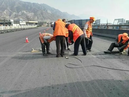 阿里道路桥梁病害治理